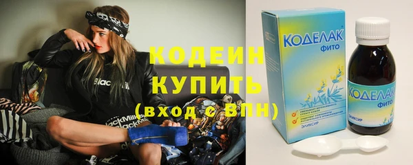 хмурый Сосновка