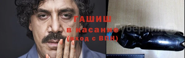 прущие крисы Белокуриха