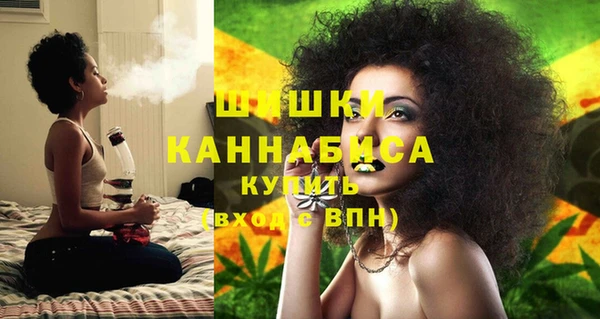 прущие крисы Белокуриха