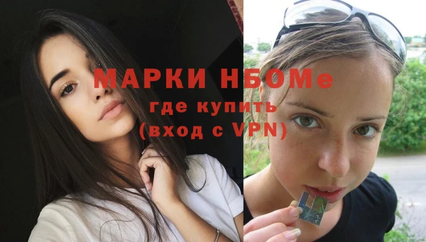 хмурый Сосновка