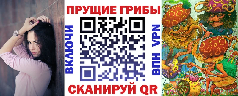 где купить   Киренск  Псилоцибиновые грибы Psilocybine cubensis 